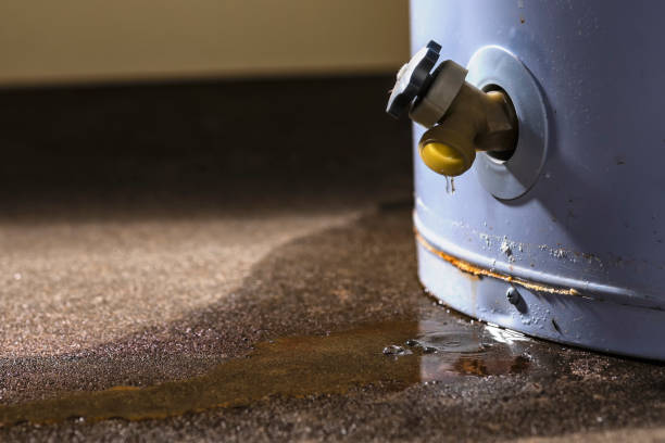 Best Water damage restoration cost  in Erie, CO