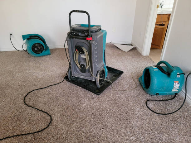 Best Flood restoration services  in Erie, CO