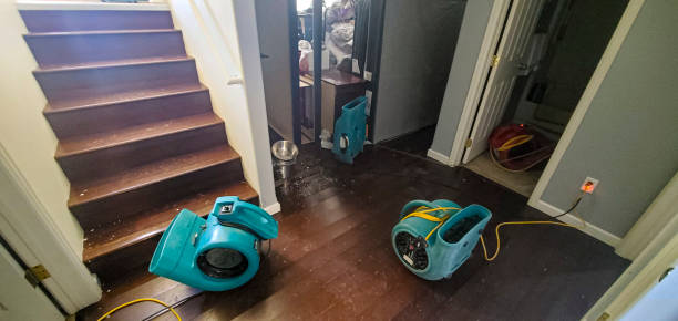 Best Emergency water damage restoration  in Erie, CO