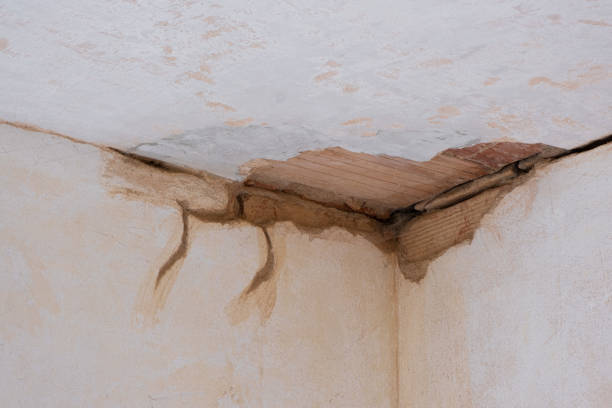 Best Fire Damage Restoration  in Erie, CO