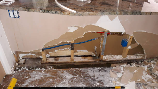 Best Flood restoration services  in Erie, CO