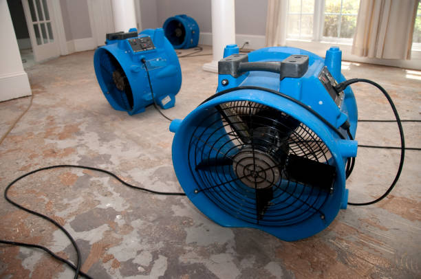 Best Local water damage restoration  in Erie, CO