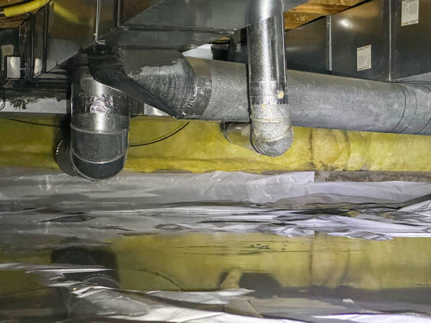 Best Commercial water damage restoration  in Erie, CO