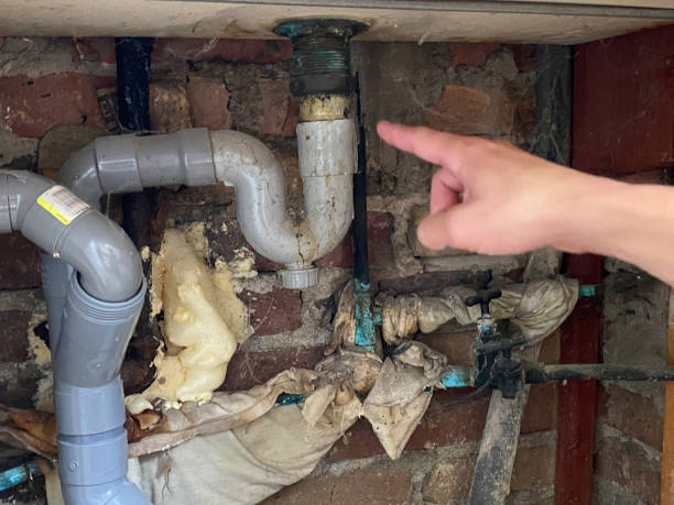 Best Mold removal after water damage  in Erie, CO