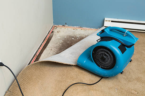 24/7 water damage repair in CO